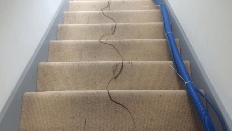 Stair Carpet Cleaning 