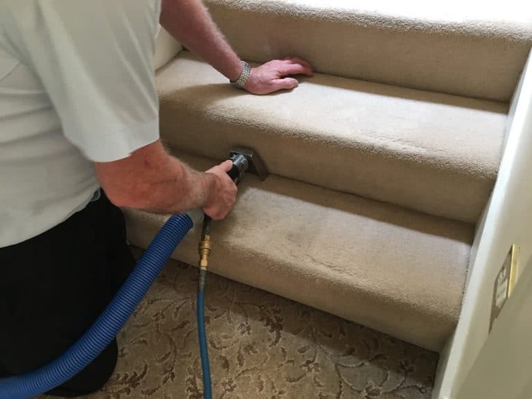 How Long Does Carpet Cleaning Take? Aqua Dry